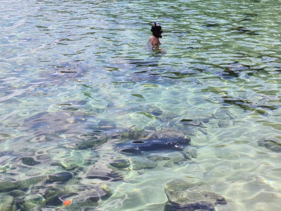 Paraiso Azul Retiro Freguesia de Santana エクステリア 写真